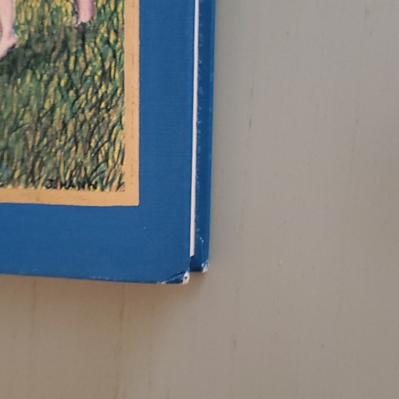 Vintage 1983, Heidi - "The Weekly Reader Classic" Series, Hardcover - Picture 11 of 12